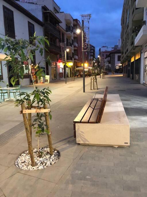 Estudio Con Amplia Terraza En Puerto De La Cruz Zewnętrze zdjęcie